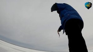 Ловля окуня со льда на блесну