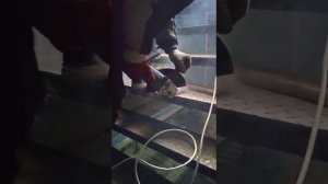 Что делать если закусило гайку на ушм(Болгарки) /быстрый и эфективный способ