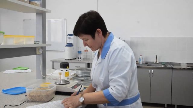 Определение влажности зерна основным стандартным способом в условиях учебной лаборатории. Риженко Е смотреть онлайн