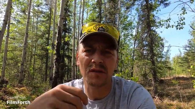 #47 THE PILOT , PASSENGER IN PLATINUM смотреть онлайн