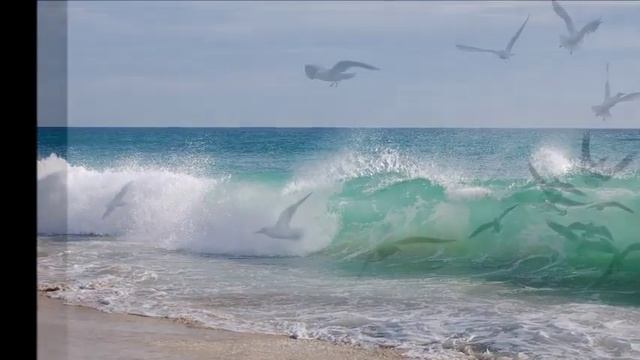ПАМЯТЬ КАК РАНЬШЕ или ЕЩЕ ЛУЧШЕ за14 минут. Вначале прочтите описание внизу.Чудо на научной основе. смотреть онлайн