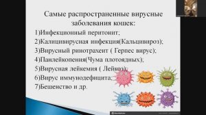 Александра Жутаева "Вирусные заболевания кошек"