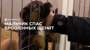 Мальчик спас щенят