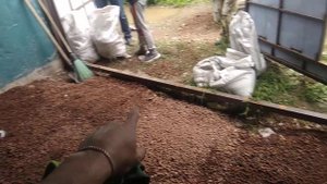 Подготовка основания пола в гараже , для щебеночного слоя , для стяжки в гараже, своими руками.