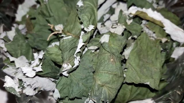 Ферментированный чай из листьев малины