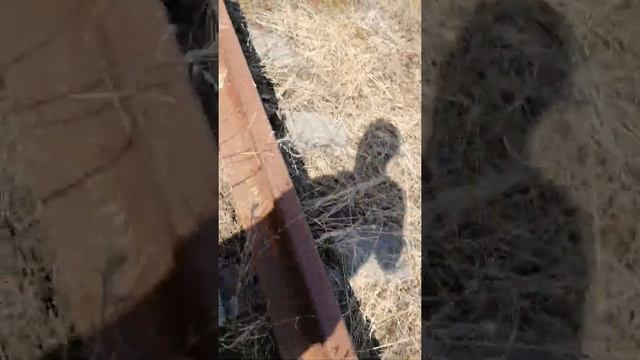 Русские железные дороги смотреть онлайн