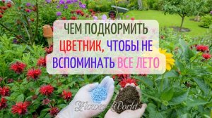 Чем подкормить цветник, чтобы не вспоминать все лето?