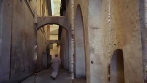 Жуки Лариска