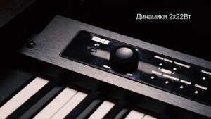 Инструмент говорит сам за себя - KORG LP-380 RW