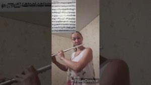 Красивые этюды для флейты