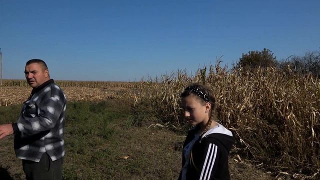 Приехали выбирать доченьке в подарок Пони или Ослика. Маленькие лошадки это чудо смотреть онлайн