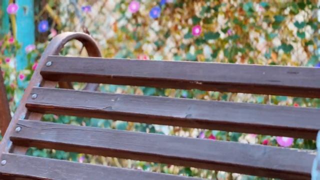 Гостевой дом АКВАТОРИЯ в Геленджике (Тонкий Мыс) смотреть онлайн