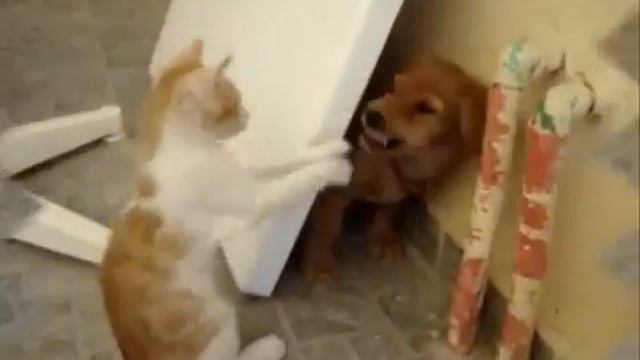 DOG JACK AND HIS FRIENDS смотреть онлайн