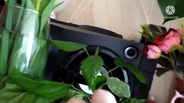 Море тюльпанов🌷🌷🌷🌷🌷плов.