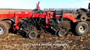 Как посеять озимую пшеницу по стерне подсолнечника?