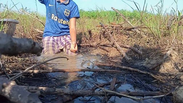 amazing Fishing in the Caspian Sea catches a lot of catfish смотреть онлайн