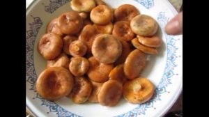 Солим сырые грузди, рыжики