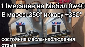 Мобил-1 fs0w40 в К7М Рено от заливки и до слива: с августа по июль - наблюдения, впечатления, отзыв.