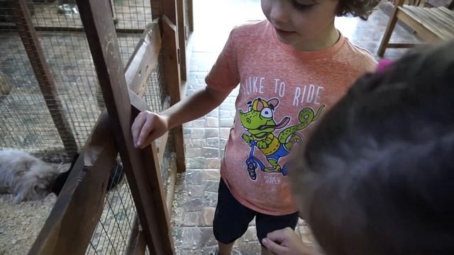 VLOG Сходили в трогательный зоопарк Сочи Море Молл Для детей 3+