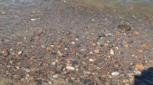 Сентябрь в Калининграде, какой он? Балтийское море, погода, температура. Купание в море осенью.