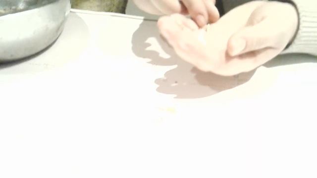 Маленький Огородик Елены Тереховой - Семена Редиса смотреть онлайн