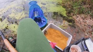 Рыбалка на Фидер в холодной воде... 10 СОВЕТОВ РЫБАЛКИ на ФИДЕР ОСЕНЬЮ 2023