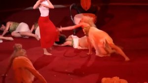 Circus. Acrobatic dance. Цирк. Акробатический танец.