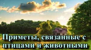 Приметы, связанные с птицами и животными