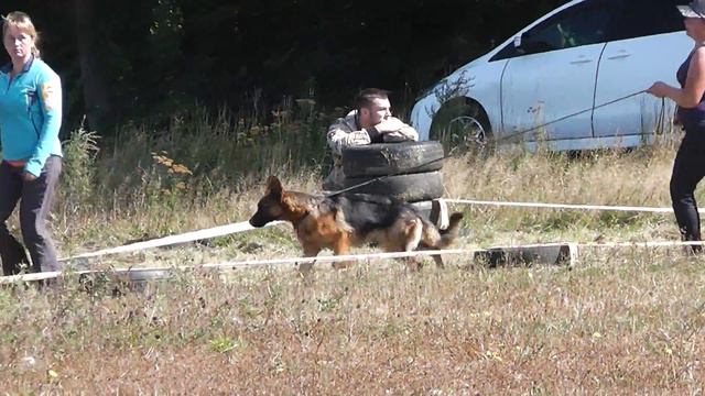 Юниоры. Суки 4 (Восточное закрытие сезона, 04.10.14) смотреть онлайн