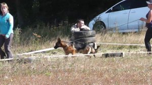 Юниоры. Суки 4 (Восточное закрытие сезона, 04.10.14)