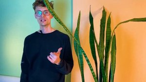 Как ухаживать за САНСЕВИЕРИЕЙ| Тещин язык | Щучий хвост |  Полив | Уход | Неприхотливое растение