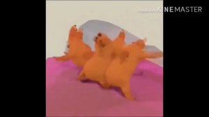 Танцующие медведи танцуют под патимейкер (мега ржач)