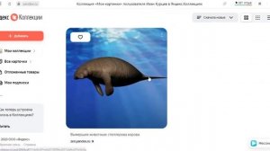 Морская корова жива сейчас или нет?