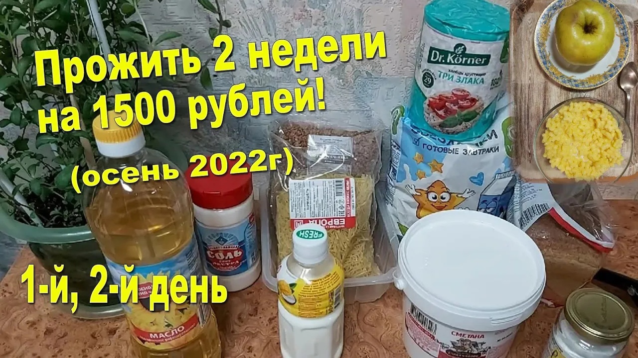 Прожить 2 недели на 1500 руб.! Осень 2022г! Примерный лимит 100 руб_день. Главное, яблок накупила)))
