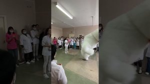 Белый медведь на приеме у врачей в Гомеле #гомель #поздравление #белыймедведь #деньрождение