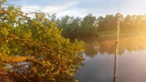 ЛОВЛЯ КАРПА НА КУКУРУЗУ С КОРМУШКОЙ река Сура
