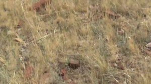 Старый Сибай 22.07.12