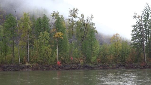 Песня "Бодайбинка"