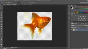 Как вырезать объект в Фотошопе с помощью инструмента Лассо