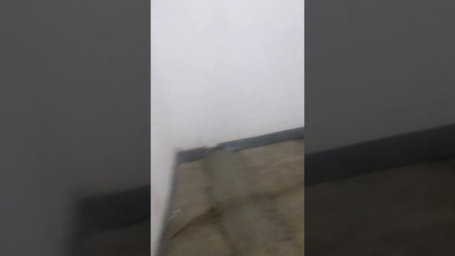 Клеевая насечка