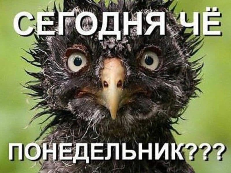 ЭТО ПРОСТО ВЫНОС МОЗГА !!! НЕВЕРОЯТНЫЕ ФАКТЫ, В КОТОРЫЕ ТРУДНО ПОВЕРИТЬ.