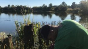 Эта насадка ловит плотву даже осенью!!! Плотва осенью. Пикерная ловля. Рыбалка на пенопласт