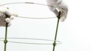 GARDEN SHOW / Опора для растений круглая (4 кольца) металл h120см