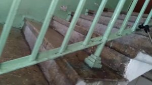 Лайфхак в мытье подъездов (садовым инвентарём)