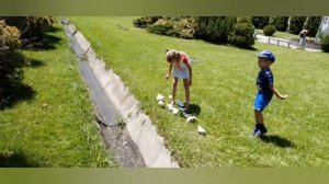 Запускаем бумажные кораблики и отправляем их в дальнее плавание