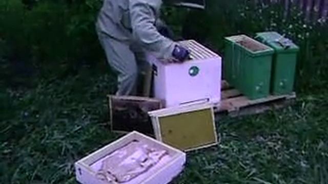 заселяю рой в улий смотреть онлайн