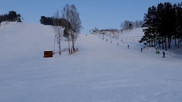 Иня фото новосибирск