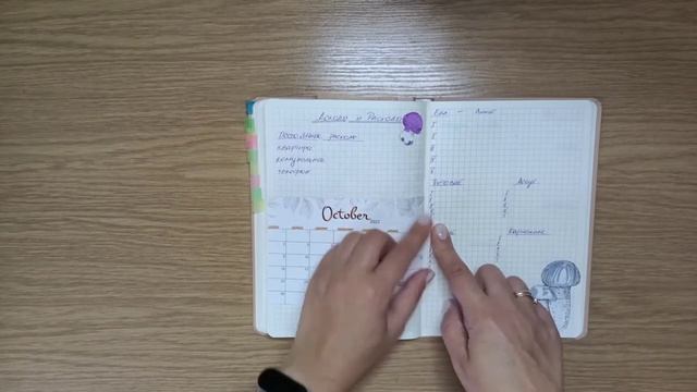 Как я оформила ежедневник на ОКТЯБРЬ?! #ежедневник #октябрь #булетджорнал смотреть онлайн