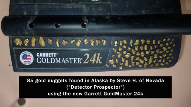 Garrett Goldmaster 24k Metal Detector
