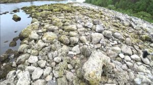 Рыбалка на реке Пиренга, Кольский п-ов. Едем на р. Титовка.